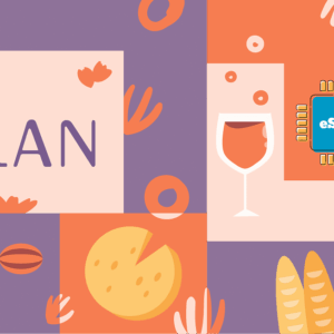 Francia 1 GB - 7 Días